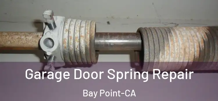  Garage Door Spring Repair Bay Point-CA
