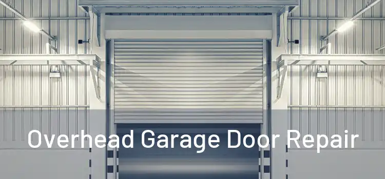  Overhead Garage Door Repair 